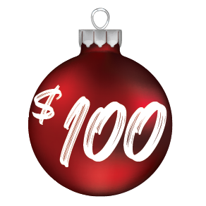 $100 Donation button for Christmas Without Lights