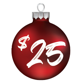 $25 Donation button for Christmas Without Lights