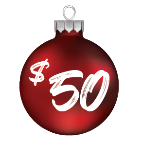 $50 Donation button for Christmas Without Lights